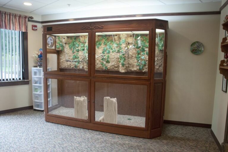 Gallery | Serenity Aquarium & Aviary Services