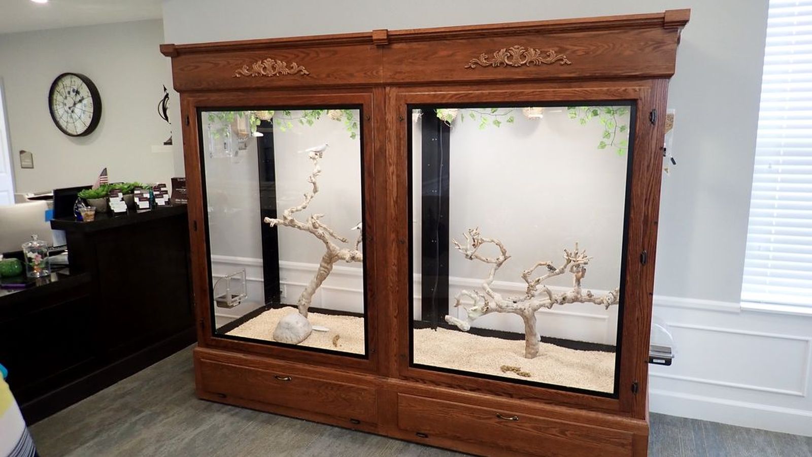 What to Expect for Your Aviary Installation | Serenity Aquarium ...