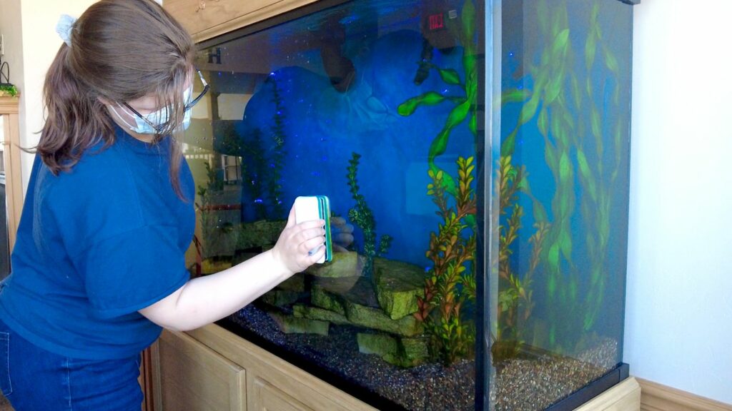 Aquarium & Fish Tank Cleaning Service
