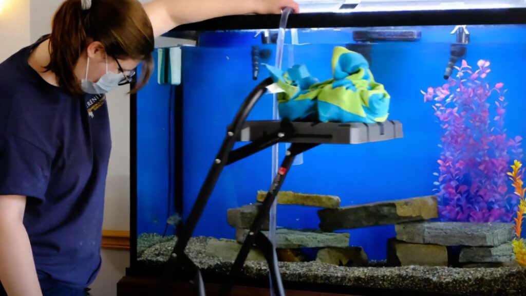 Home aquarium cleaning using magnetic fish tank cleaner. Man
