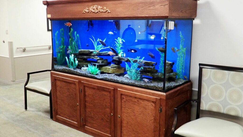 Glass vs Acrylic Fish Tanks  Serenity Aquarium & Aviary Services